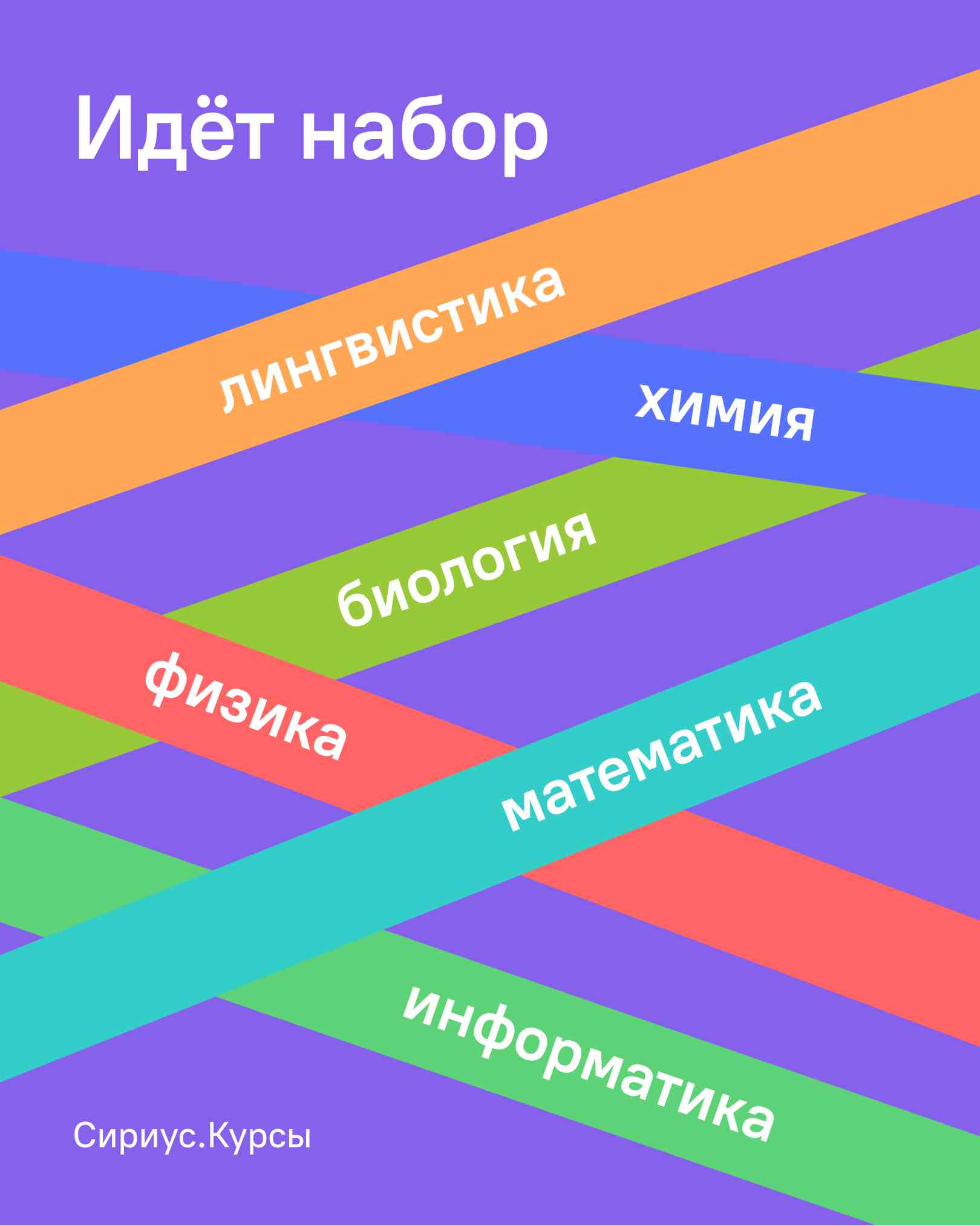 Образовательный центр «Сириус»: каникулы в разгаре, учёба – тоже! –  Региональный центр «Космос»