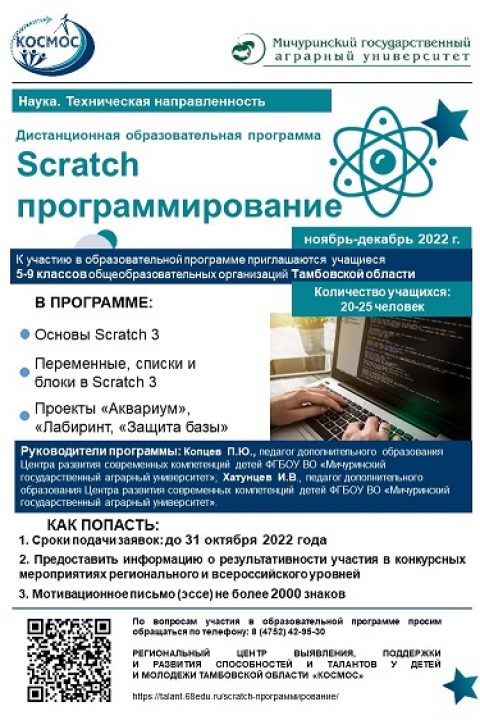 сжатое Образовательная программа «Scratch программирование»